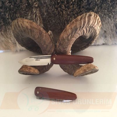 Sivri Burunlu Katlanır Bıçak