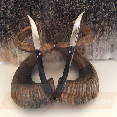 Boynuz Saplı Katlanır Bıçak